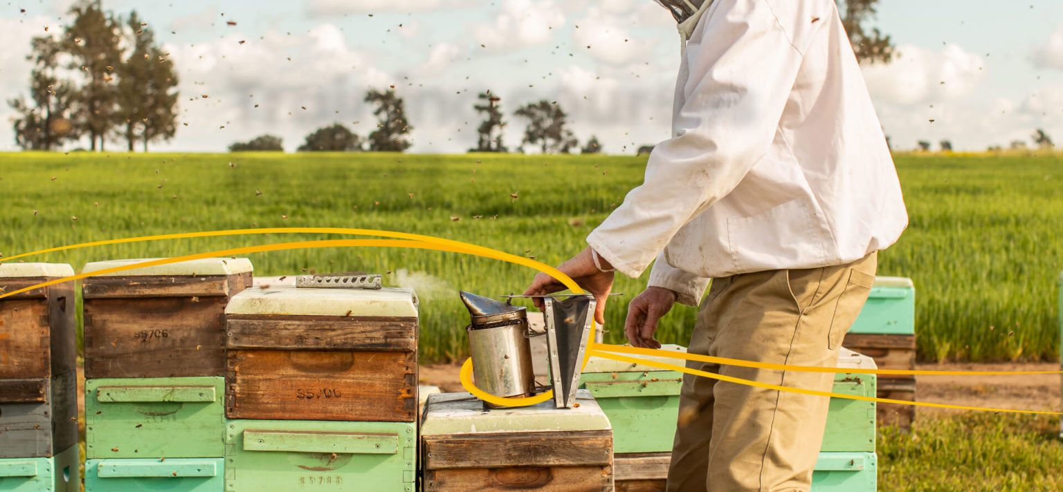 Commercial Honey Producers and Pollination Service Providers Wanted at